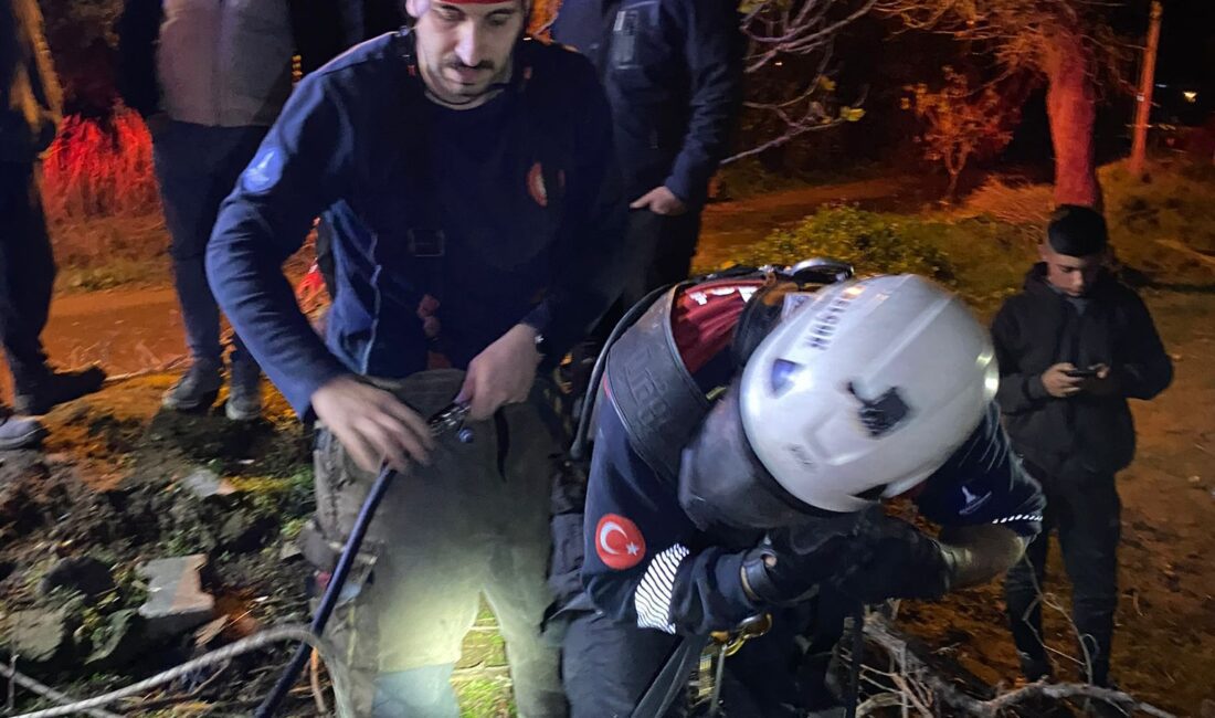 İtfaiye ekipleri buzağıyı düştüğü kuyudan çıkardı İzmir Büyükşehir Belediyesi’ne bağlı itfaiye ekipleri dün gece bir buzağıyı