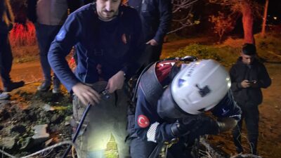 İzmir Büyükşehir Belediyesi’ne bağlı itfaiye ekipleri dün gece bir buzağıyı