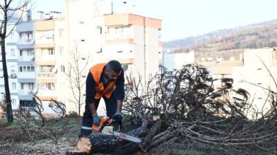 Ağustos ayında Karşıyaka’da başlayarak Çiğli’yi de etkisi altına alan orman