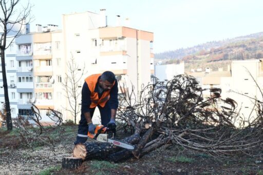 Ağustos ayında Karşıyaka’da başlayarak Çiğli’yi de etkisi altına alan orman