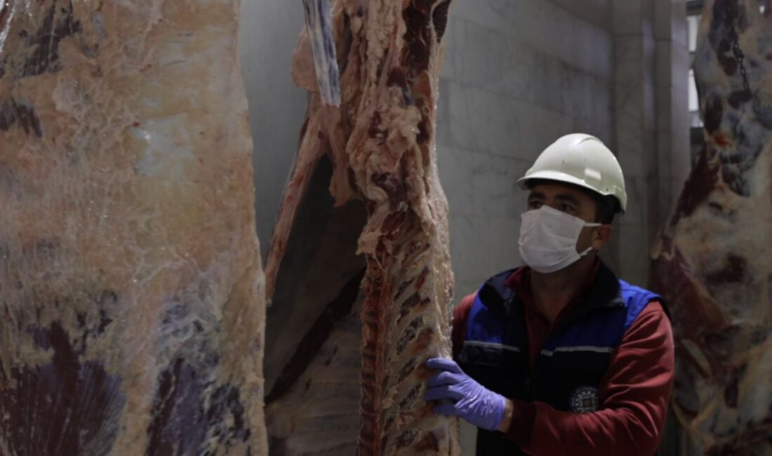 Büyükşehir Modern Mezbahaları ile Güvenilir Hizmet Veriyor Muğla Büyükşehir Belediyesi’ne ait modern ve hijyenik koşullarda
vatandaşlara hizmet veren