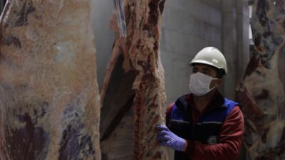 Muğla Büyükşehir Belediyesi’ne ait modern ve hijyenik koşullarda
vatandaşlara hizmet veren