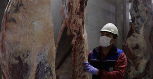 Muğla Büyükşehir Belediyesi’ne ait modern ve hijyenik koşullarda
vatandaşlara hizmet veren