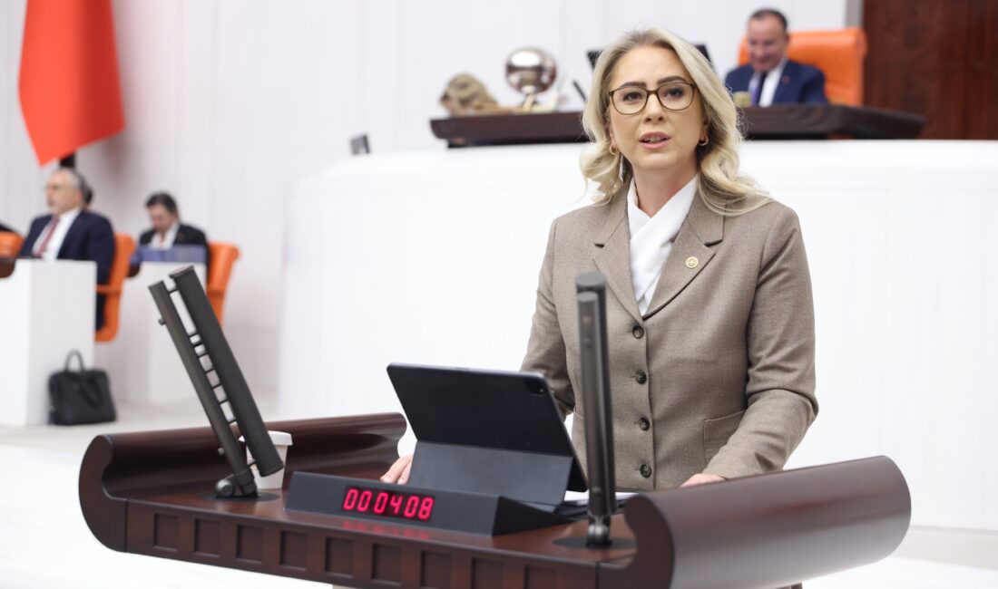 2024 Yılı Merkezi Yönetim Bütçe Kanunu Teklifi Görüşmeleri kapsamında
Afet ve