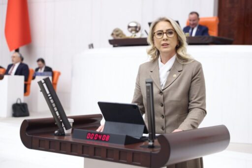 2024 Yılı Merkezi Yönetim Bütçe Kanunu Teklifi Görüşmeleri kapsamında
Afet ve