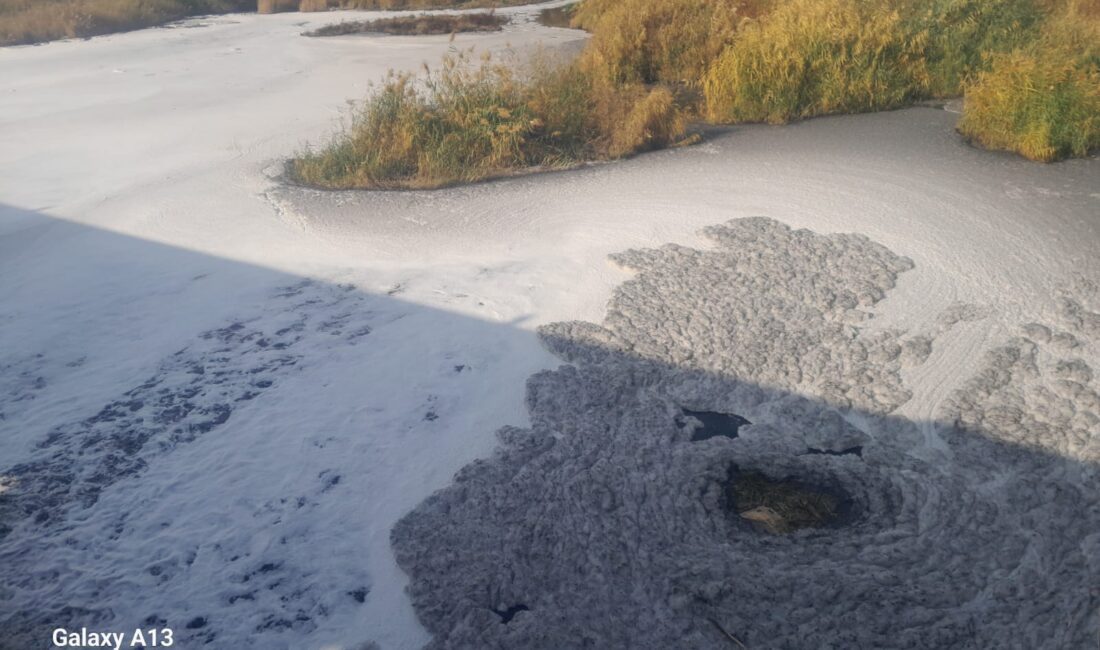 Körfez kirliliği uzun zamandır İzmir gündeminden hiç düşmüyor. Kah iktidar