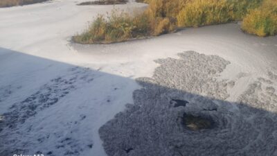 Körfez kirliliği uzun zamandır İzmir gündeminden hiç düşmüyor. Kah iktidar