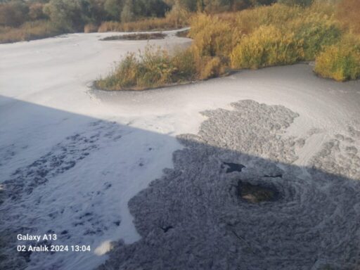 Körfez kirliliği uzun zamandır İzmir gündeminden hiç düşmüyor. Kah iktidar