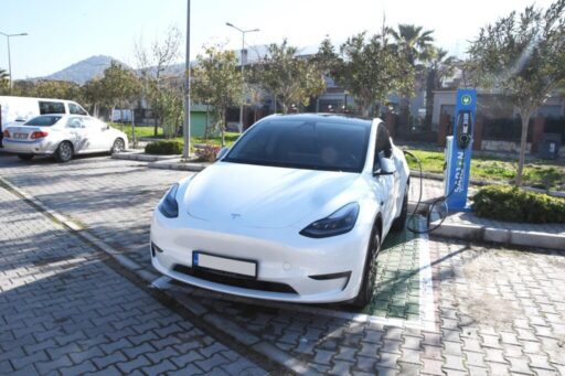 Türkiye İstatistik Kurumu (TÜİK) verilerine göre, 2025 Ocak ayı sonu itibarıyla