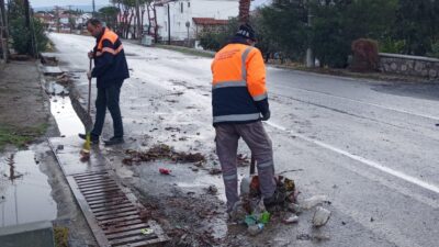 Körfez bölgesi ve Ayvalık’ta geçtiğimiz hafta içinde yoğun bir şekilde