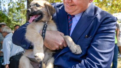 İzmir Büyükşehir Belediyesi, 2024 yılında sokak hayvanlarına yönelik çalışmalarıyla Türkiye’ye