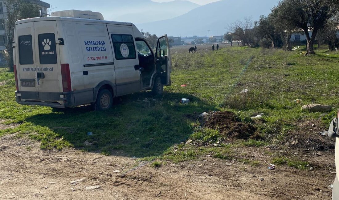 Kemalpaşa’da vatandaşlar tarafından yaralı halde bulunan Yılkı Atı, tedavi edilerek