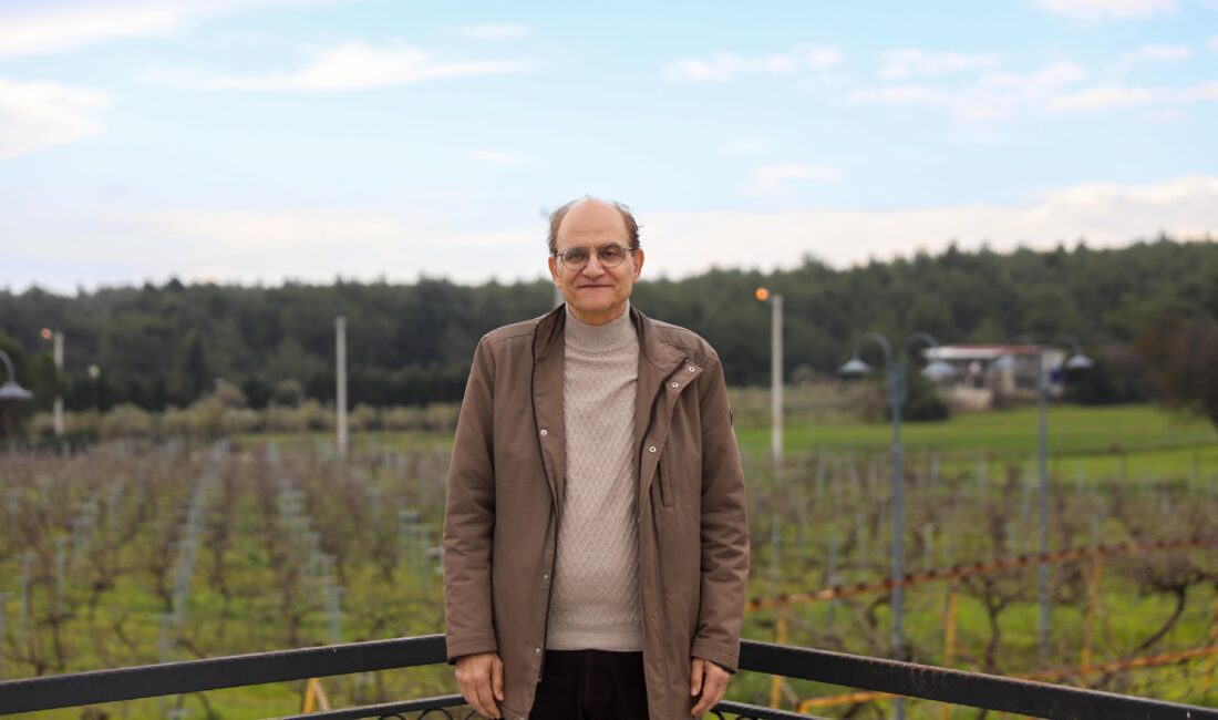 Buca’da Hedef; Agro Turizm! Buca Belediyesi, ilçe ile özdeşleşen razakı üzümünün üretimini yaygınlaştırmak, bilinirliğini