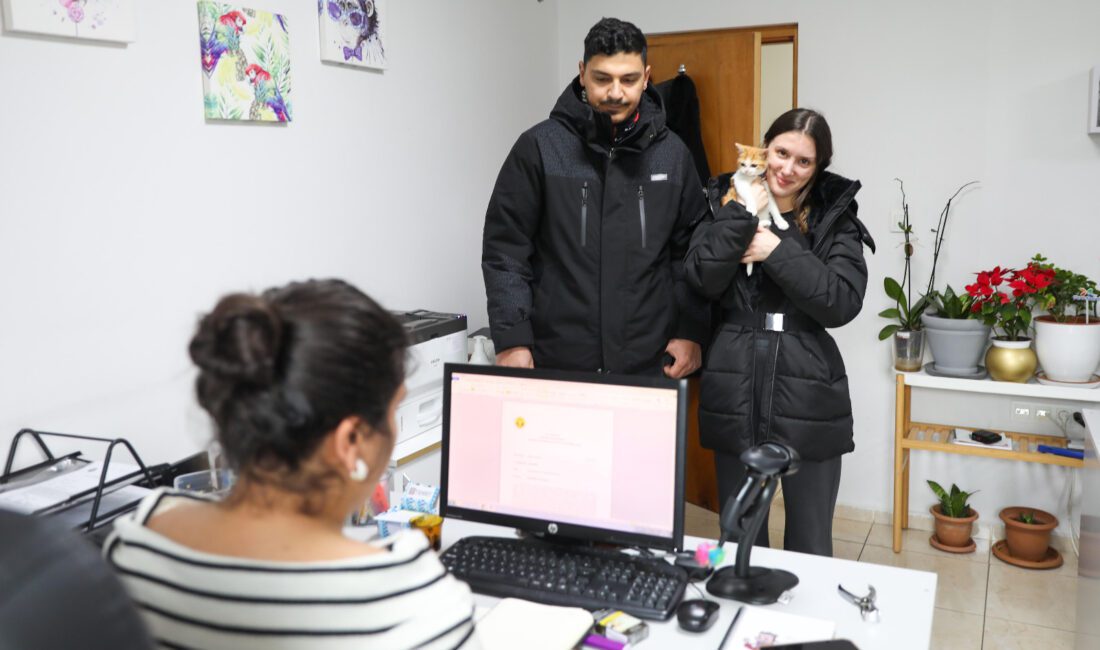 Ağır yaralı olarak geldiği Buca Belediyesi Sokak Hayvanları Rehabilitasyon Merkezi’nde