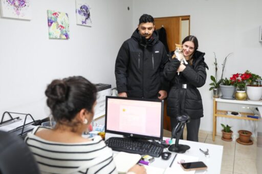 Ağır yaralı olarak geldiği Buca Belediyesi Sokak Hayvanları Rehabilitasyon Merkezi’nde