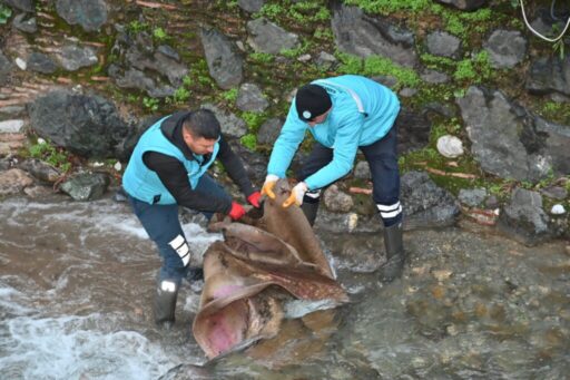Manisa Büyükşehir Belediyesi ve Manisa Su ve Kanalizasyon İdaresi (MASKİ)