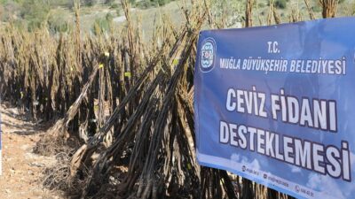Muğla Büyükşehir Belediyesi “Her Kapıda Bir Fidan projesi ile ücretsiz
fidan