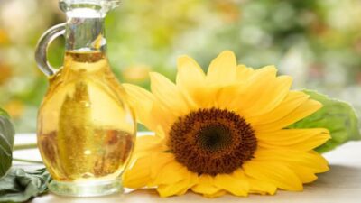 Tarım ve Orman Bakanlığı’nın açıkladığı ‘taklit ve tağşiş gıdaları’ ile