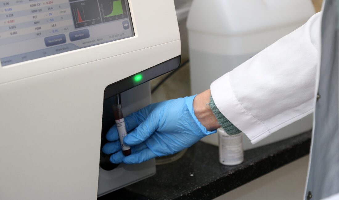 Karabağlar Belediyesi, sokak hayvanlarının yaşam kalitesini artırmak amacıyla çalışmalarına hız