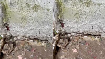 İzmir’in Buca ilçesinin Efeler Mahallesi’nde bir apartmanda sabah saatlerinden itibaren