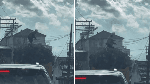 İzmir’in Buca ilçesinde ilginç bir olay yaşandı. Demir yüklü bir