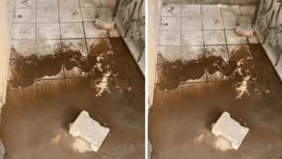 İzmir Karşıyaka çarşıda bir apartman binasında, kutunun altında bulunan telekom