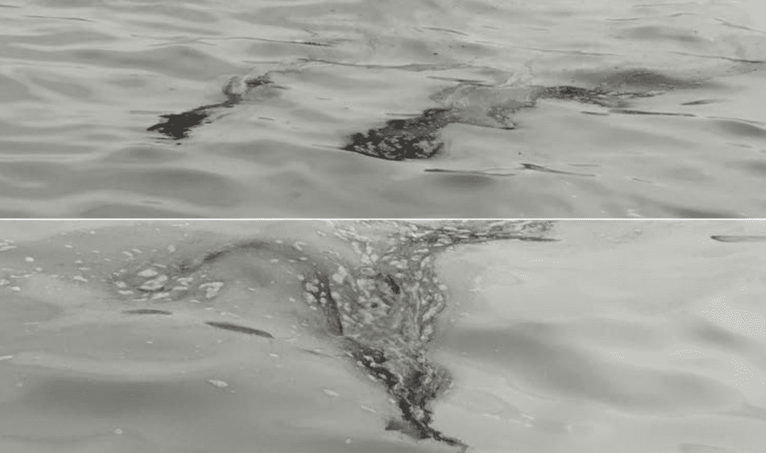 İzmir Karşıyaka’da kirlilik alarmı: Deniz siyahlaştı! İzmir Körfezi’nde oluşan yağlı katman, vatandaşları endişelendirdi. Körfezin farklı noktalarında