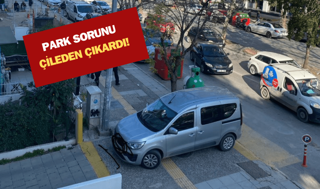 İzmir’in Karşıyaka ilçesi Yeni Girne Bulvarı’nda yaşanan park sorunu, hem