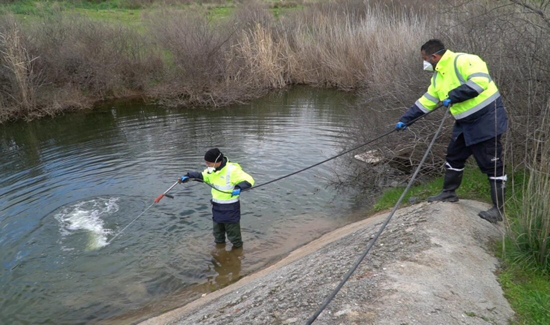 İzmir Büyükşehir Belediyesi sivrisineklere yönelik mücadelesini yıl boyunca sürdürüyor.  30