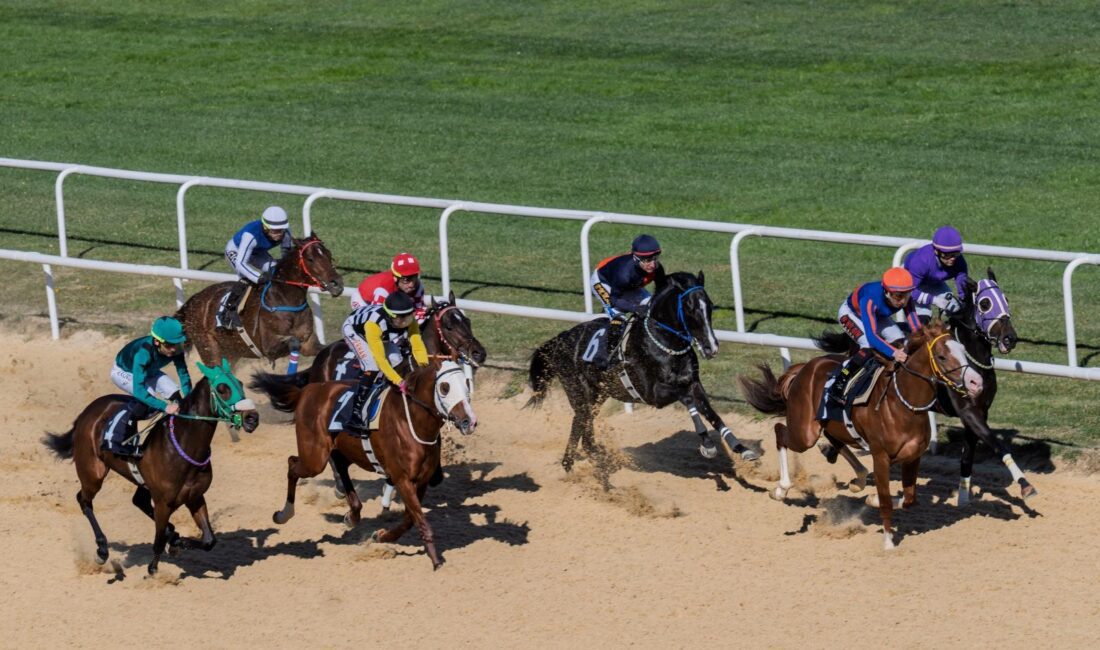 İzmir Büyükşehir Belediye Başkanlığı Koşusu’nu Wardenclyffe kazandı İzmir Büyükşehir Belediye Başkan Vekili Dr. Zafer Levent Yıldır, yarışı