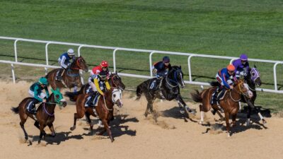 İzmir Büyükşehir Belediye Başkan Vekili Dr. Zafer Levent Yıldır, yarışı