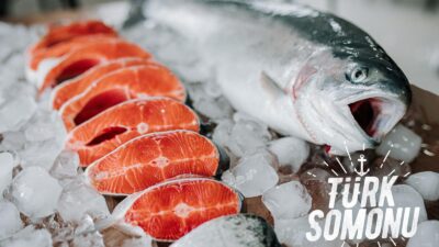 Türk somonu son 5 yılda ihracatını 17 kat artırarak büyük