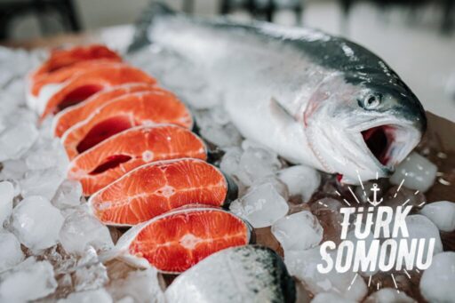 Türk somonu son 5 yılda ihracatını 17 kat artırarak büyük
