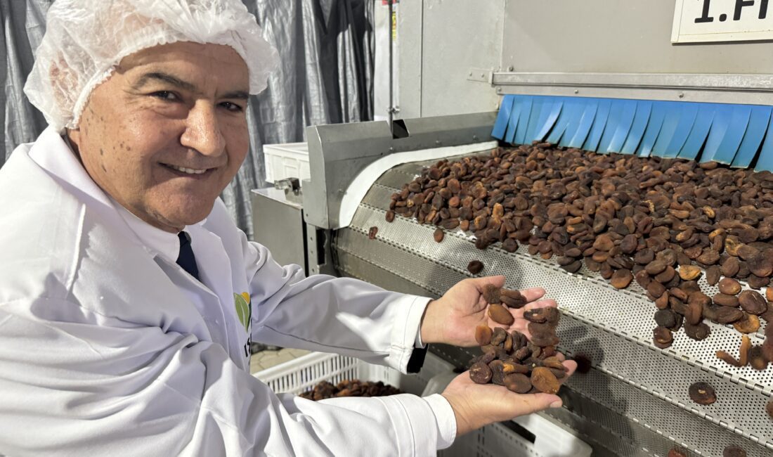 Organik sektöründe dünyanın en büyük pazaryeri olan Nürnberg Biofach Organik