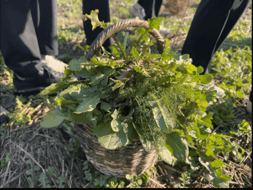 Michelin Yıldızlı şeflerin eşliğinde, gıda krizine karşı Ege Bölgesi’nin sahip