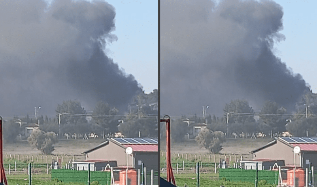 İzmir’in Menderes ilçesi, Kısıkköy’de bulunan ormanlık alanda, sebebi bilinmeyen bir