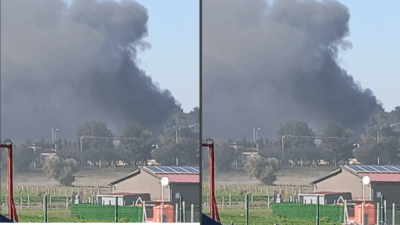 İzmir’in Menderes ilçesi, Kısıkköy’de bulunan ormanlık alanda, sebebi bilinmeyen bir