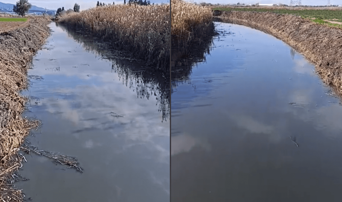 İzmir’in Menemen ilçesi Koyundere semtinde bulunan dereye lağım suyunun akıtıldığı