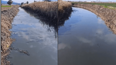 İzmir’in Menemen ilçesi Koyundere semtinde bulunan dereye lağım suyunun akıtıldığı