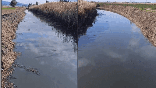 İzmir’in Menemen ilçesi Koyundere semtinde bulunan dereye lağım suyunun akıtıldığı