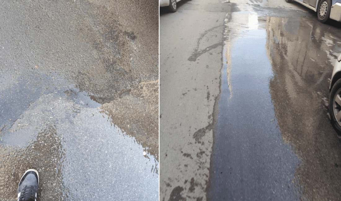 İzmir'in Karabağlar ilçesi Kazım Karabekir Mahallesi 9022. Sokak'ta günlerdir boşa