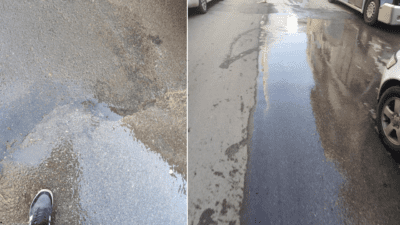 İzmir'in Karabağlar ilçesi Kazım Karabekir Mahallesi 9022. Sokak'ta günlerdir boşa