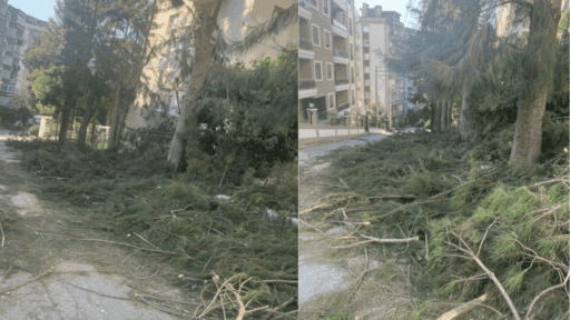 Karabağlar Günaltay Sokak üzerinde belediye ekiplerinin ağaç budama ve kesim