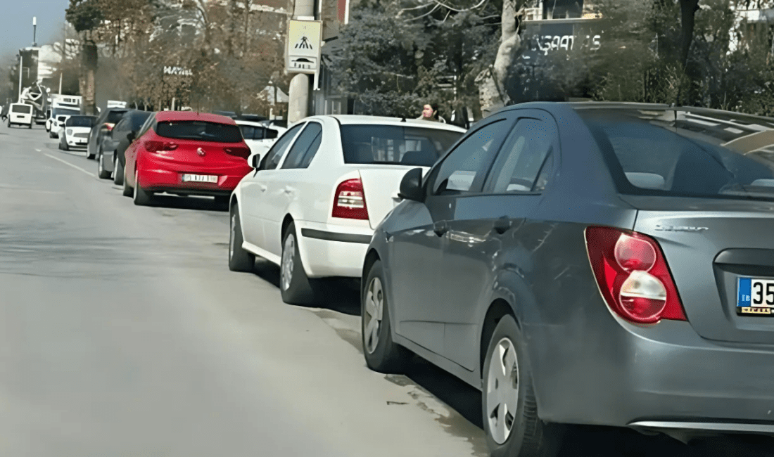 İzmir’in Karşıyaka ilçesi Nergiz Mahallesi 1671. Sokak’ta yaşanan park sorunları,