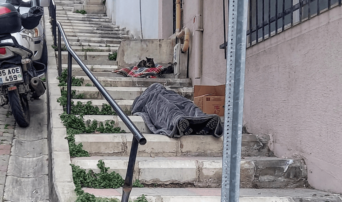 Konak’ta yaşlı adam günlerdir sokakta yatıyor! İzmir’in Konak ilçesi, Kılıç Reis Mahallesi 340 Sokak’ta günlerdir sokakta