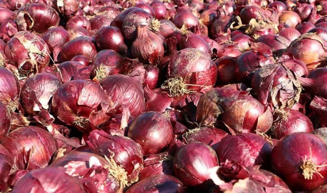 Doğanın bize sunduğu en güçlü besinlerden biri olan mor soğan,