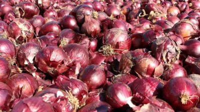 Doğanın bize sunduğu en güçlü besinlerden biri olan mor soğan,