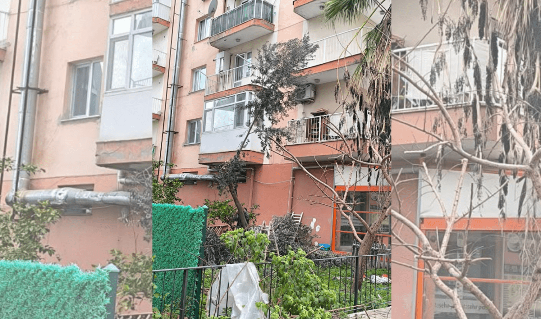 İzmir’in Çiğli ilçesine bağlı Ataşehir Mahallesi’nde yapılan budama çalışmaları büyük