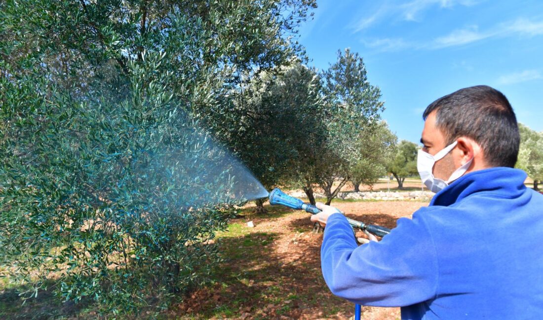 Tarımda verimi artırmak ve ürün kalitesini yükseltmek için üreticiye yaptığı