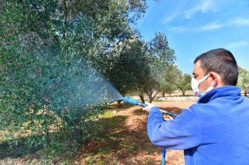 Tarımda verimi artırmak ve ürün kalitesini yükseltmek için üreticiye yaptığı